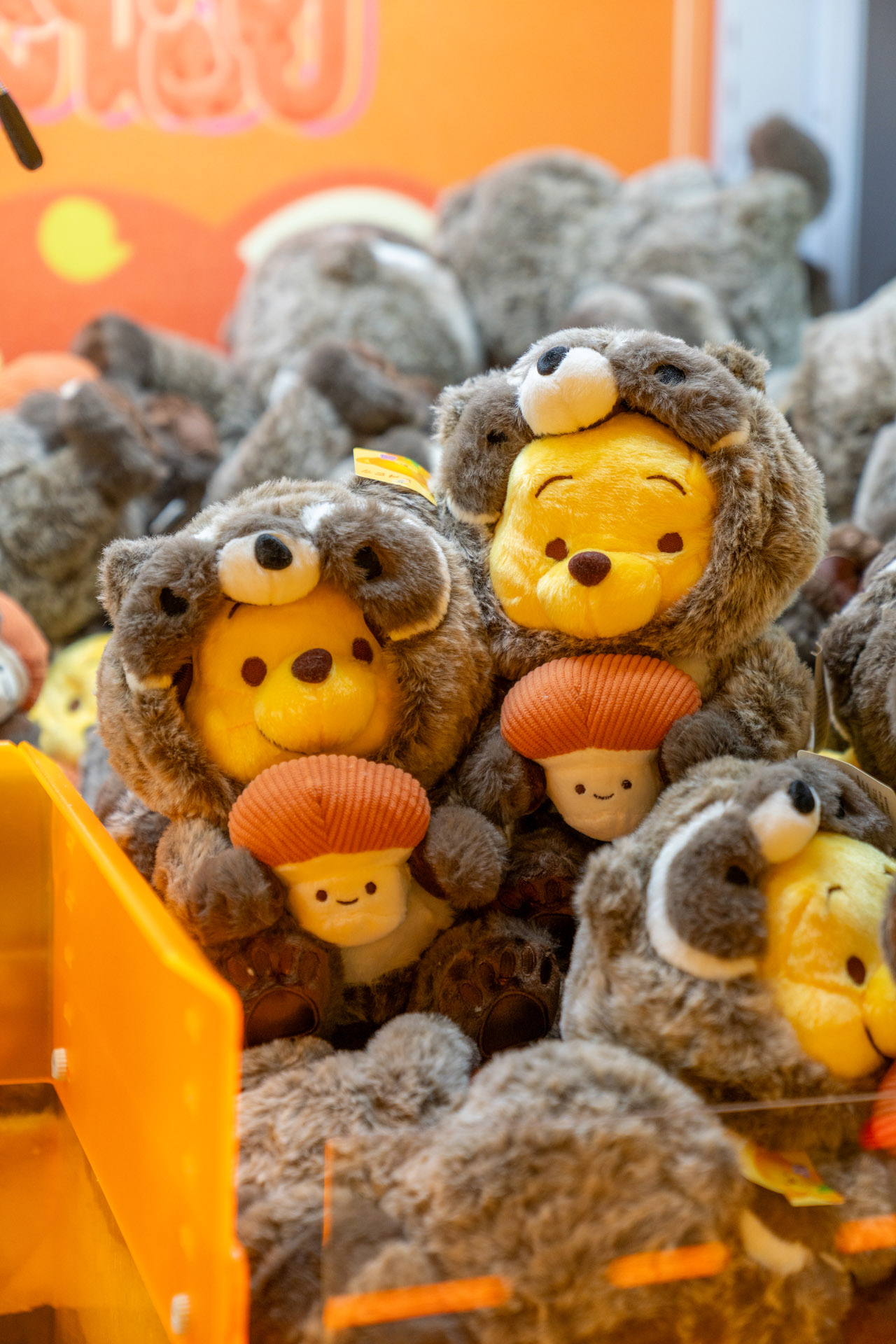 Shanghai Disneyland Raccoon Winnie-the-Pooh